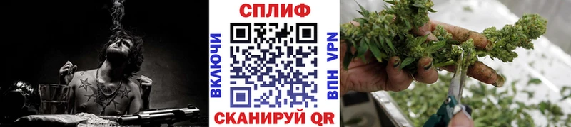 Бошки марихуана ГИДРОПОН Ардон